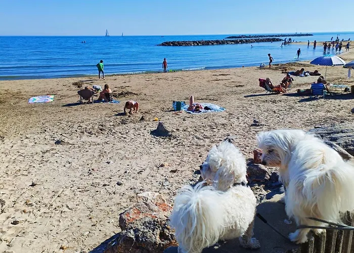 Front De Plage